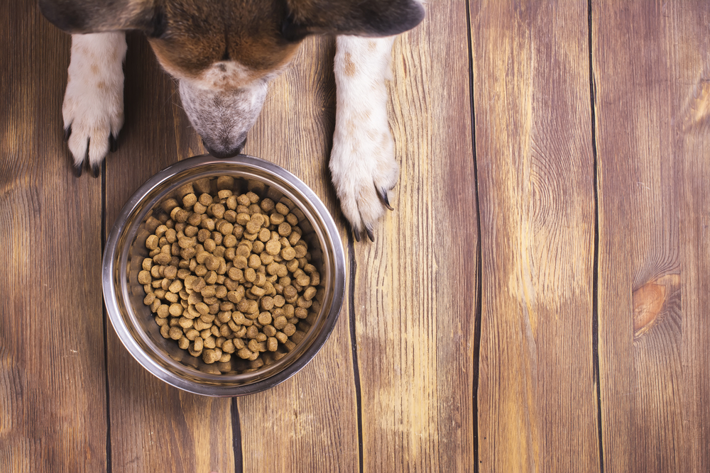 pet prescription food